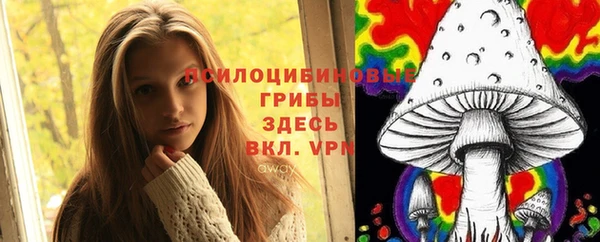MDMA Новозыбков